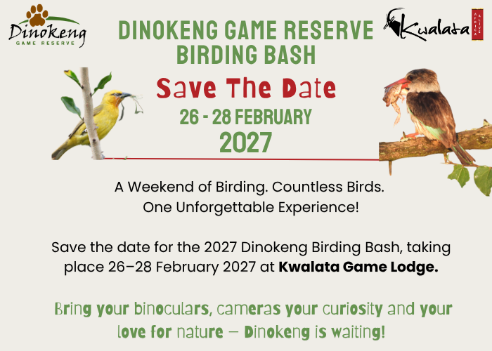 Birding-bash-2027